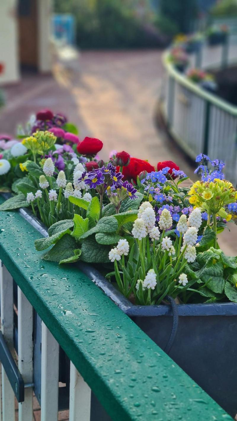 Aménager une terrasse ou un balcon : meubles, plantes et ambiance de vacances